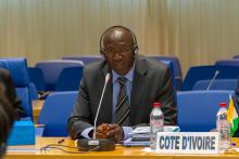 Briefing For New Ministers Of Health Ends In Congo | WHO | Regional ...