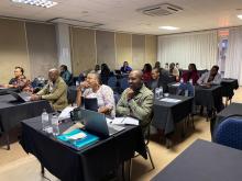 National training for trainers on the electronic surveillance (eSURV) Companion App