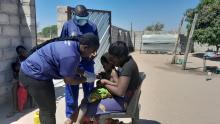  Field team members during the NTD mapping survey 