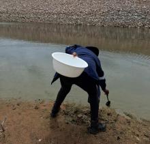 Conducting larval scooping 