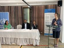 WHO supports Mauritius in assessing and empowering the National Immunization Technical Advisory Group