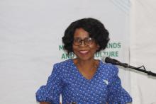 Professor Nkomazana, Permanent Secretary, Ministry of Health