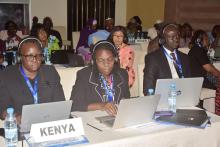 Changer la donne contre l’anémie : un pas décisif pour l’Afrique