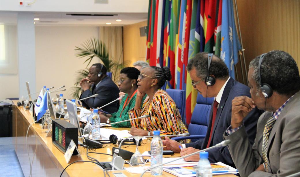 Sixty-ninth Session Of The WHO Regional Committee For Africa | WHO ...