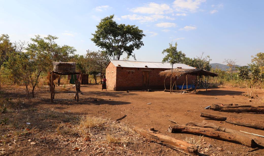 In the heart of Kasenengwa District in Zambia's Eastern Province lies Thambo, a small, closely-knit village where everyone knows each other by name.   Life here is simple; days are marked by the rhythms of nature and community bonds.   On 4 June, a quiet storm brewed within this serene setting, a storm named cholera.   Here, Kasenengwa’s index case hails.