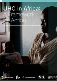 Universal health coverage in Africa: a framework for action