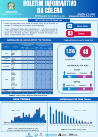 Boletim de Cólera 2024 Nº 21