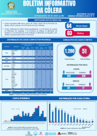Boletim de Cólera 2024 Nº 22