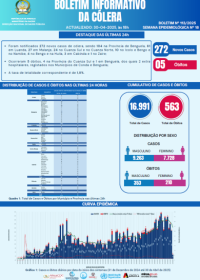 Boletim de Cólera 2025 Nº 113