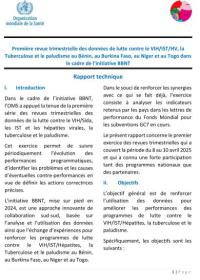 Première revue trimestrielle des données de lutte contre le VIH/IST/HV, la Tuberculose et le paludisme au Bénin, au Burkina Faso, au Niger et au Togo dans le cadre de l’initiative BBNT
