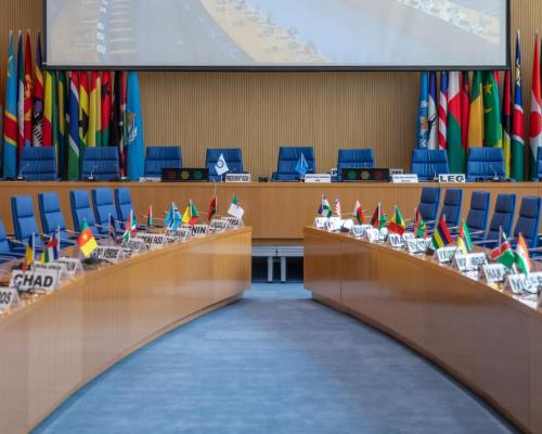 Special session of the WHO Regional Committee for Africa, 14 January 2025