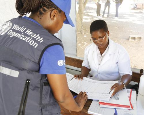 Sustaining health services in Mozambique's Gaza Province after devastating floods